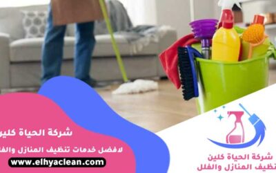 تنظيف منازل بالعين