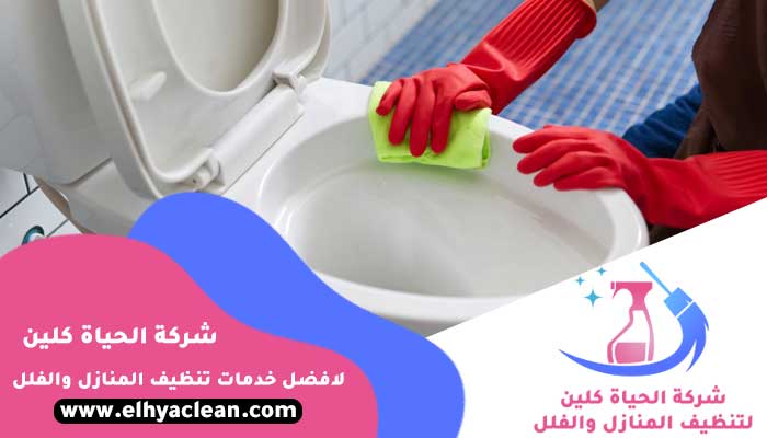 شركة تنظيف حمامات العين