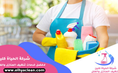 شركة تنظيف في العين