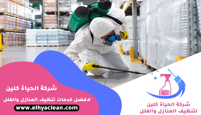 مكافحة حشرات في راس الخيمة