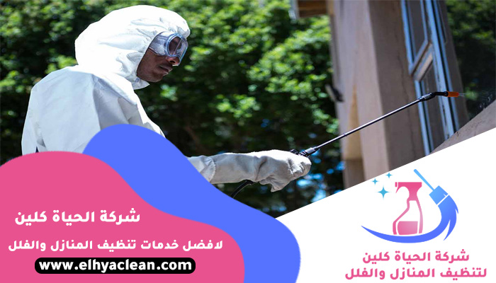 شركة مكافحة حشرات في عجمان