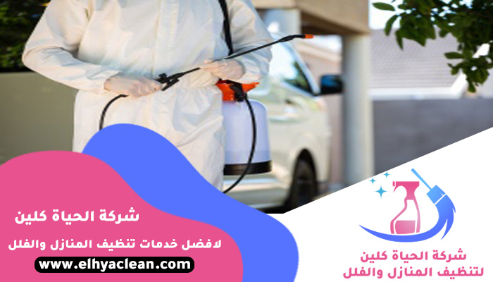 مكافحة حشرات في راس الخيمة