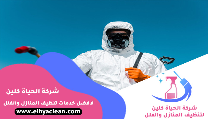 مكافحة حشرات في ابوظبي