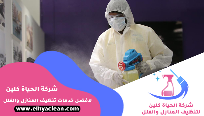 شركة مكافحة حشرات في دبي