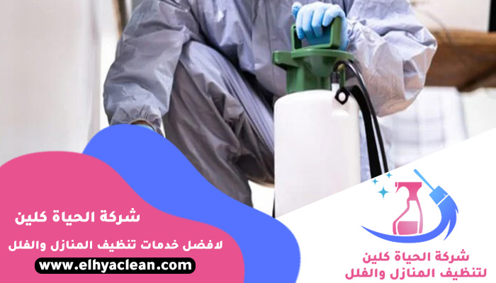 شركة مكافحة حشرات في دبي