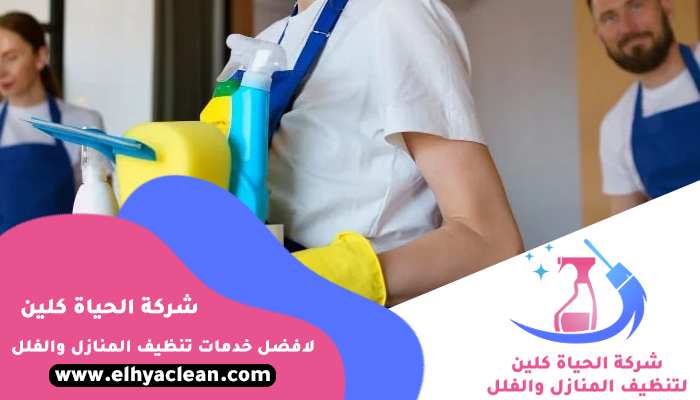شركة تنظيف في الخوانيج