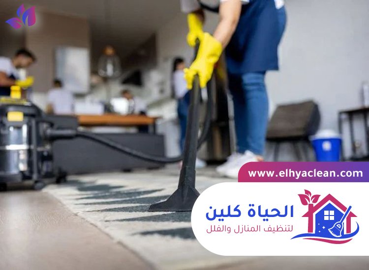 شركة تنظيف شقق