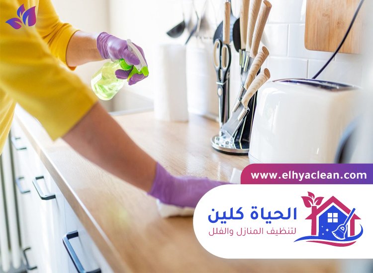 شركة تنظيف مطابخ في دبي 4 شركة تنظيف مطابخ في دبي