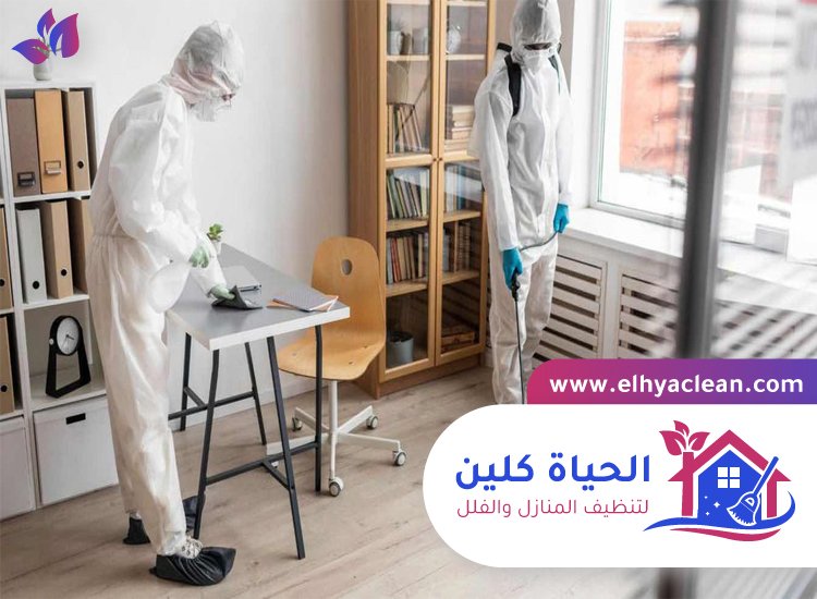 شركة تعقيم في عجمان 5 شركة تعقيم في عجمان