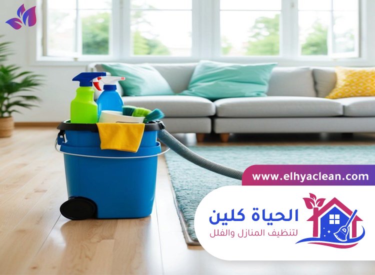 تنظيف منازل بالساعة