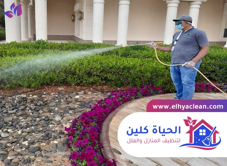 غسيل حوش المنزل 3 غسيل حوش المنزل