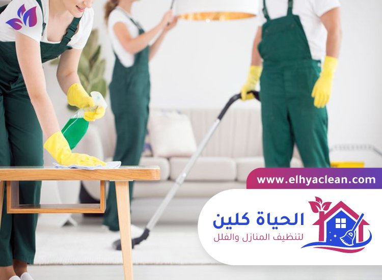 شركة تنظيف في القصيص 5 شركة تنظيف في القصيص