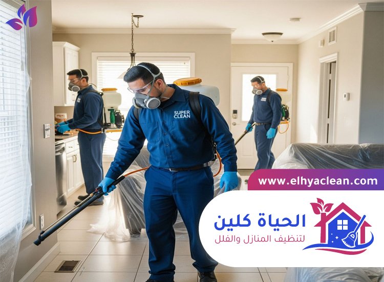 شركة تنظيف في الحلاة 4 شركة تنظيف في الحلاة