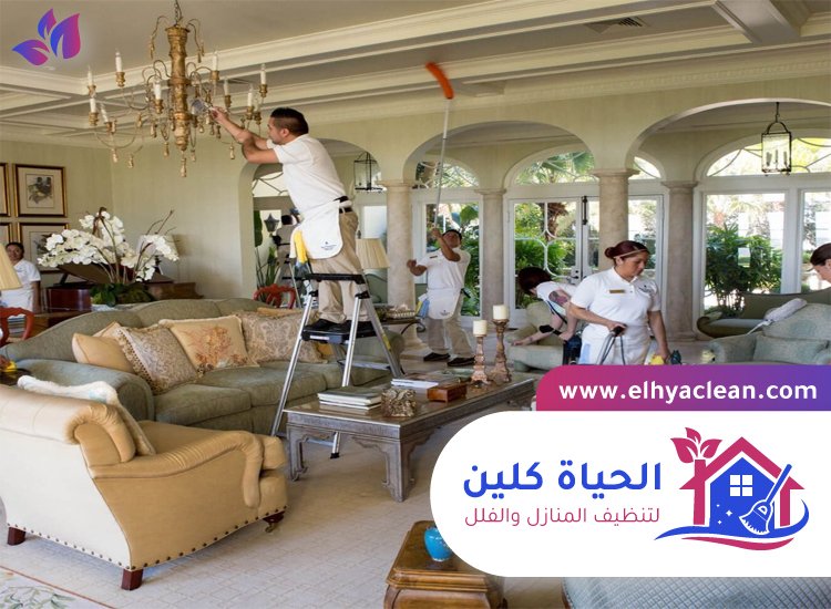 شركة تنظيف في الفشت 3 شركة تنظيف في الفشت