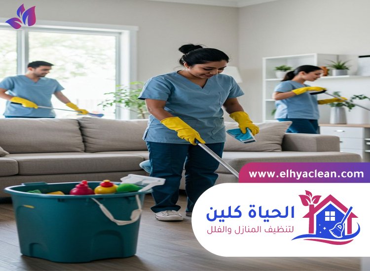 شركة تنظيف في مويلح 5 شركة تنظيف في مويلح