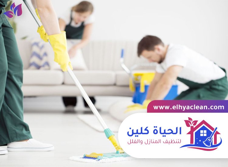 شركة تنظيف في الجافلية 4 شركة تنظيف في الجافلية