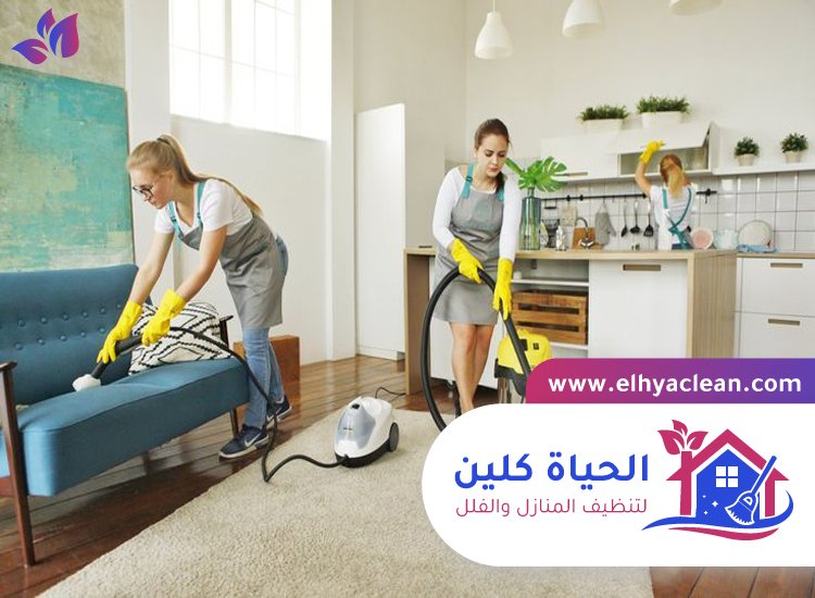 شركة تنظيف في المزهر 5 شركة تنظيف في المزهر