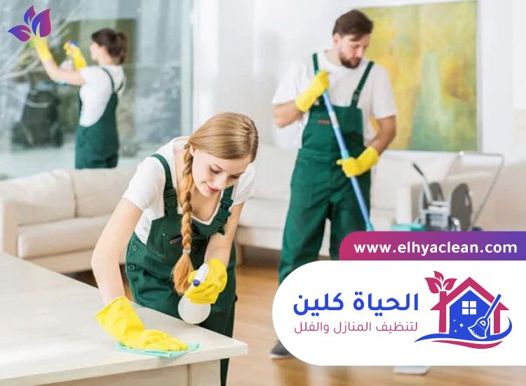 شركة تنظيف