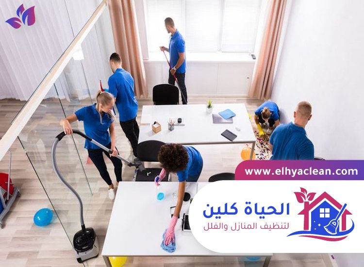 شركة تنظيف