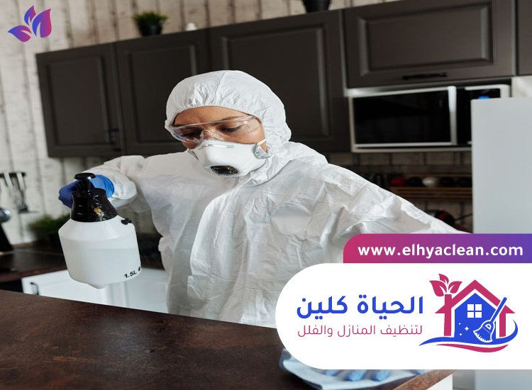 شركة تنظيف في مربح 5 شركة تنظيف في مربح