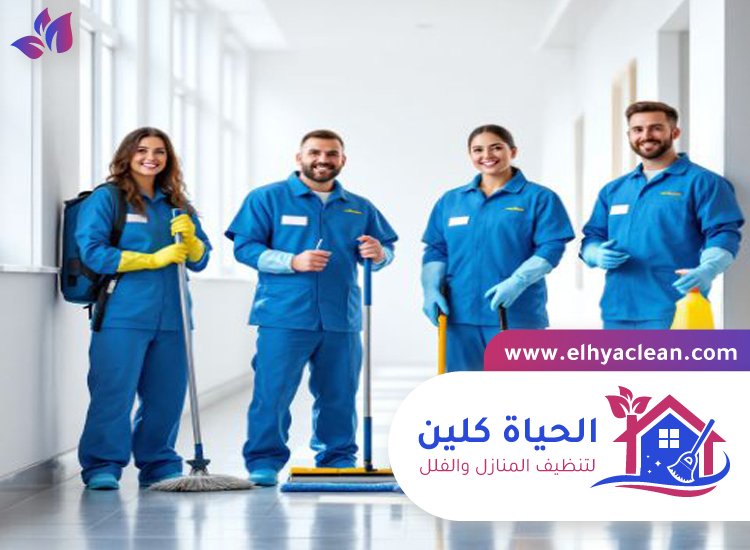 شركة تنظيف