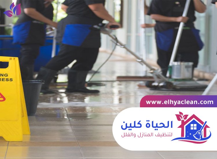 شركة تنظيف في الصفوح 5 شركة تنظيف في الصفوح