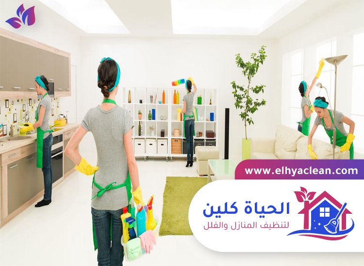 شركة تنظيف في الضاحية 3 شركة تنظيف في الضاحية