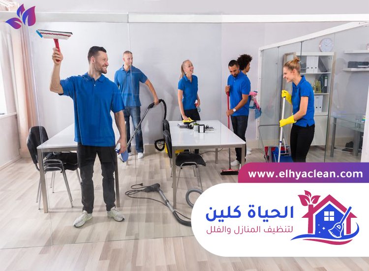 شركة تنظيف في الضاحية 2 شركة تنظيف في الضاحية