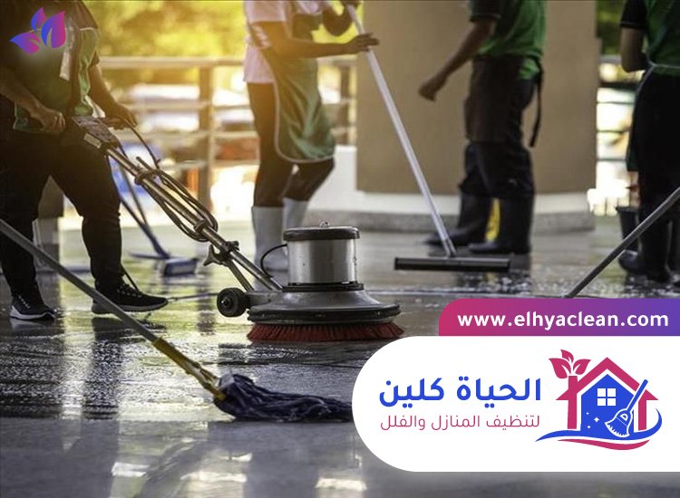 شركة تنظيف
