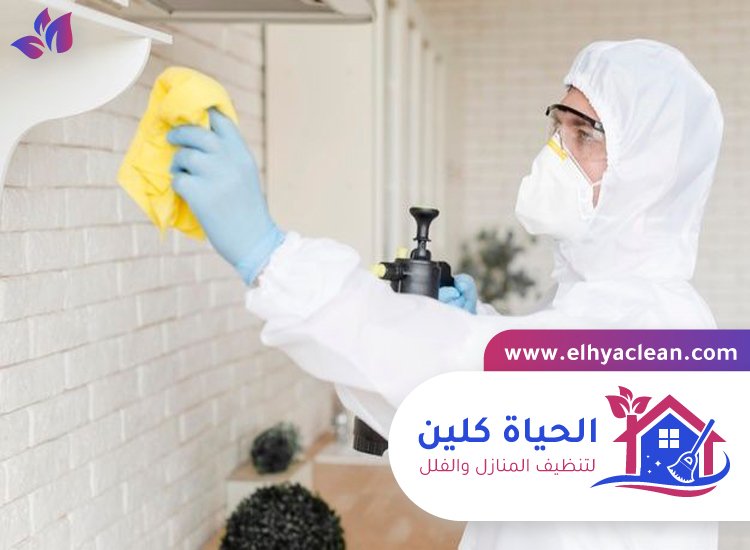 شركة تعقيم في عجمان 4 شركة تعقيم في عجمان