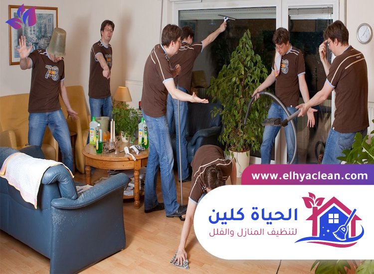 شركة تنظيف في العوير 5 شركة تنظيف في العوير