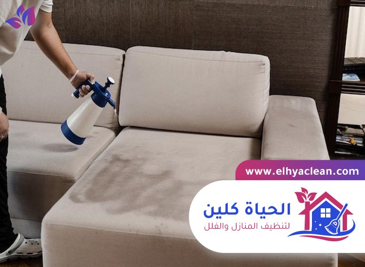 شركة تنظيف كنب في العين 7 شركة تنظيف كنب في العين