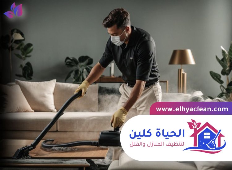 شركة تنظيف فلل