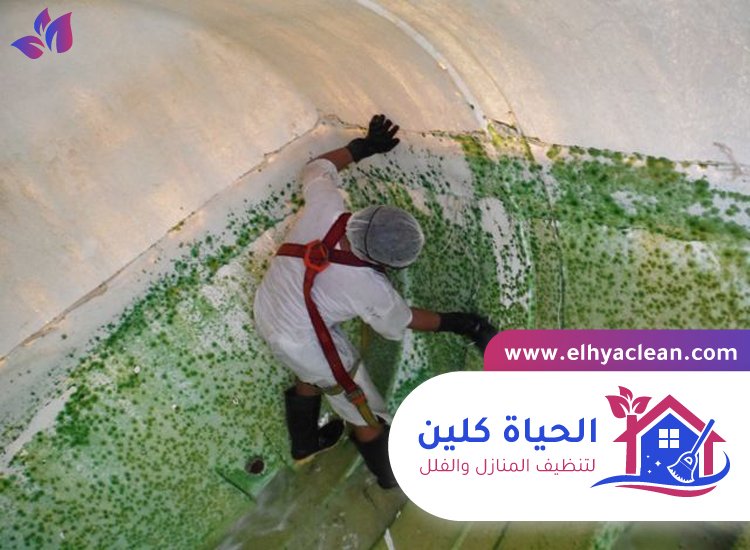 شركة تنظيف خزانات في الفجيرة 5 شركة تنظيف خزانات في الفجيرة