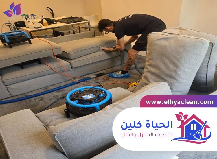 شركة تنظيف مفروشات في عجمان 4 شركة تنظيف مفروشات في عجمان