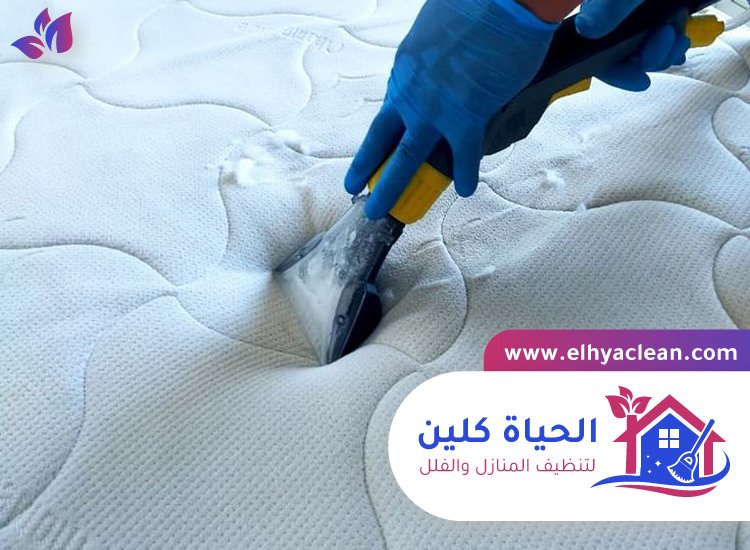 شركة تنظيف مراتب في الشارقة 4 شركة تنظيف مراتب في الشارقة