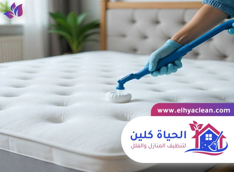 شركة تنظيف مراتب في ابوظبي 5 شركة تنظيف مراتب في ابوظبي