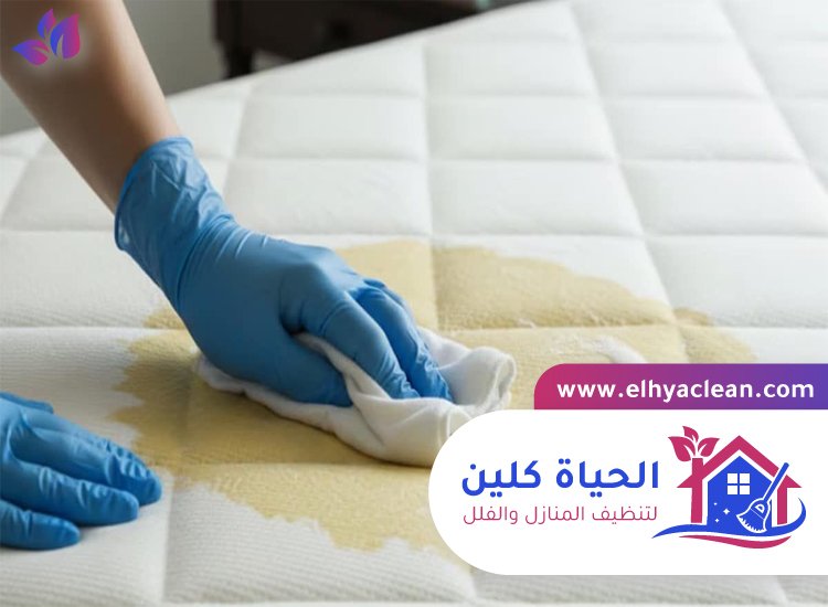 شركة تنظيف مراتب في ابوظبي 3 شركة تنظيف مراتب في ابوظبي