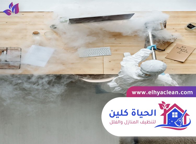 شركة تعقيم في ام القيوين 8 شركة تعقيم في ام القيوين