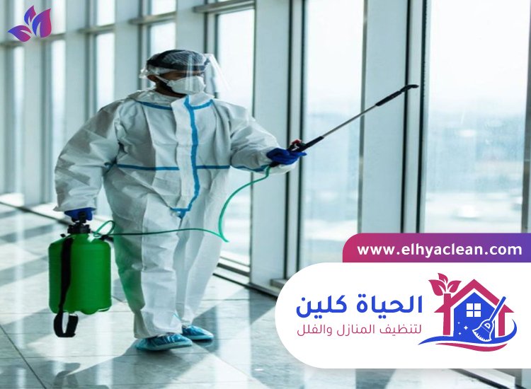 شركة تعقيم في الشارقة 7 شركة تعقيم في الشارقة