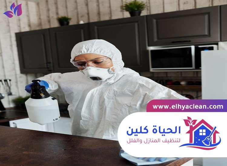 شركة تعقيم منازل بدبي 4 شركة تعقيم منازل بدبي