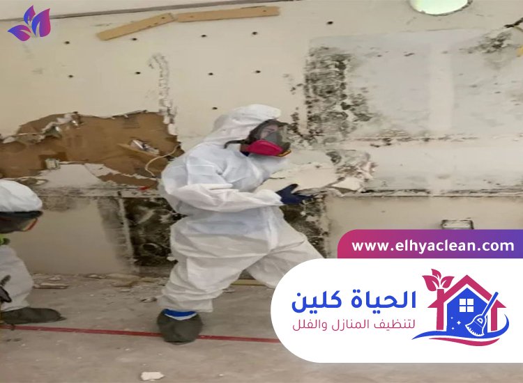 تنظيف الحائط من الحريق 7 تنظيف الحائط من الحريق