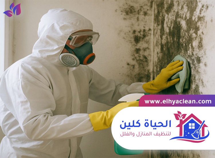 تنظيف الحائط من الحريق 6 تنظيف الحائط من الحريق