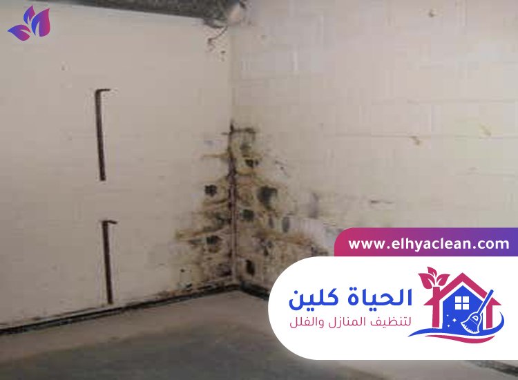 تنظيف الحائط من الحريق 8 تنظيف الحائط من الحريق