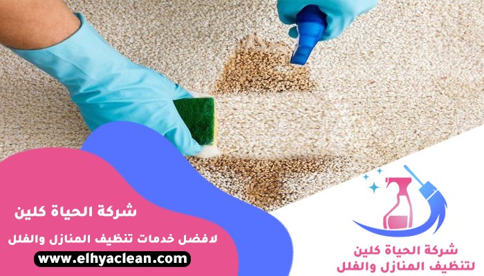 شركة تنظيف مفروشات في دبي