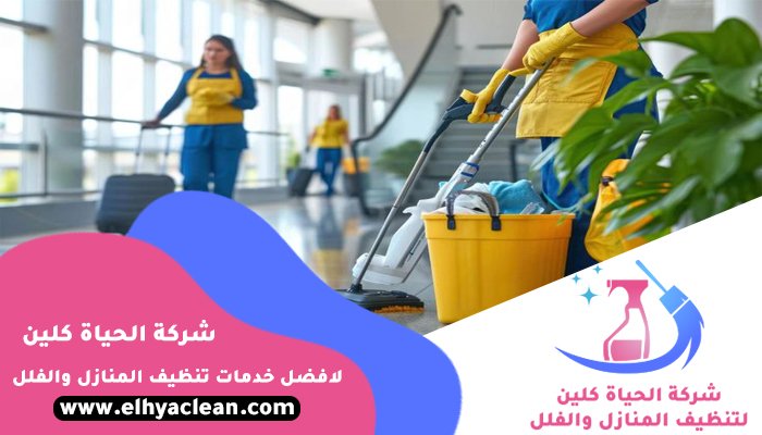 شركة تنظيف في الضاحية