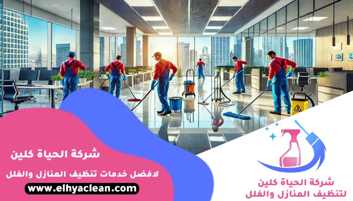 شركة تنظيف في الضاحية