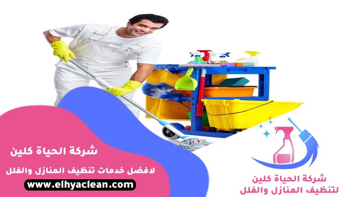 شركة تنظيف في الضاحية