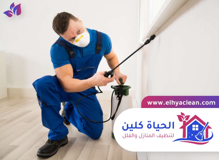 مكافحة حشرات في ام القيوين 3 مكافحة حشرات في ام القيوين