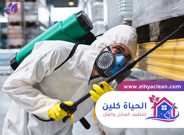 مكافحة حشرات في ام القيوين 2 مكافحة حشرات في ام القيوين